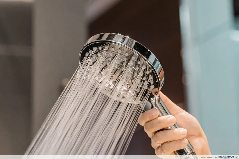 cleaning household items: bidets and showerheads