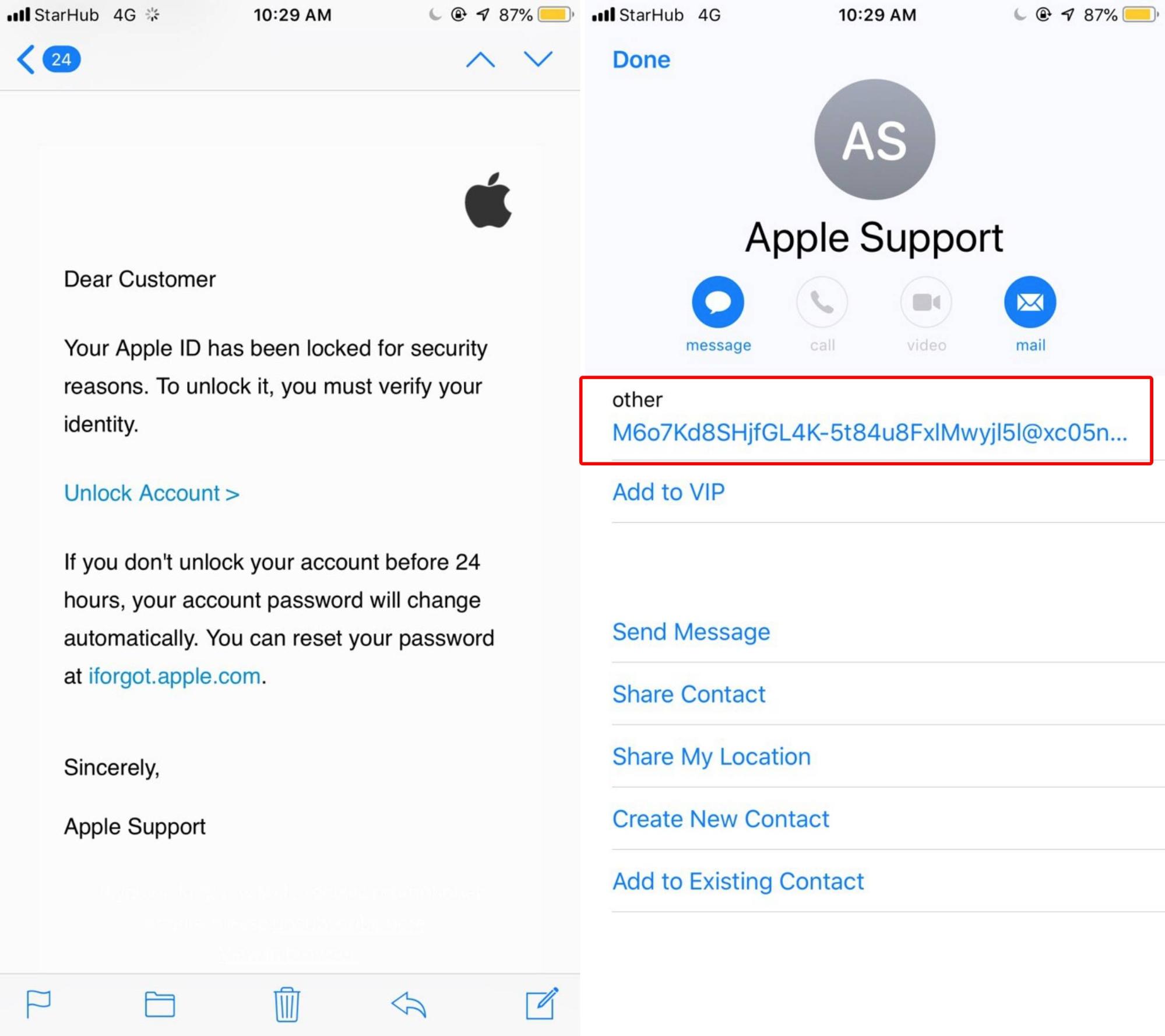 common scams in Singapore - fake Apple support emails 