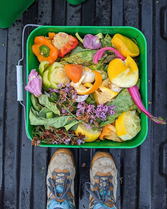 You can compost a wide variety of organic goods like flowers, shoots and peels.