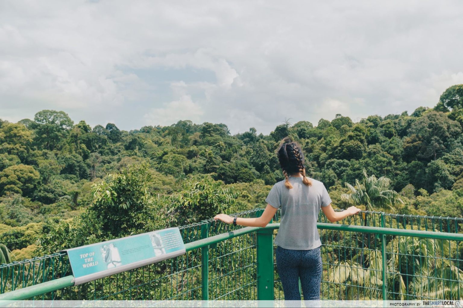 11 Things To Do In MacRitchie Reservoir - Hiking Guide With Treetop ...