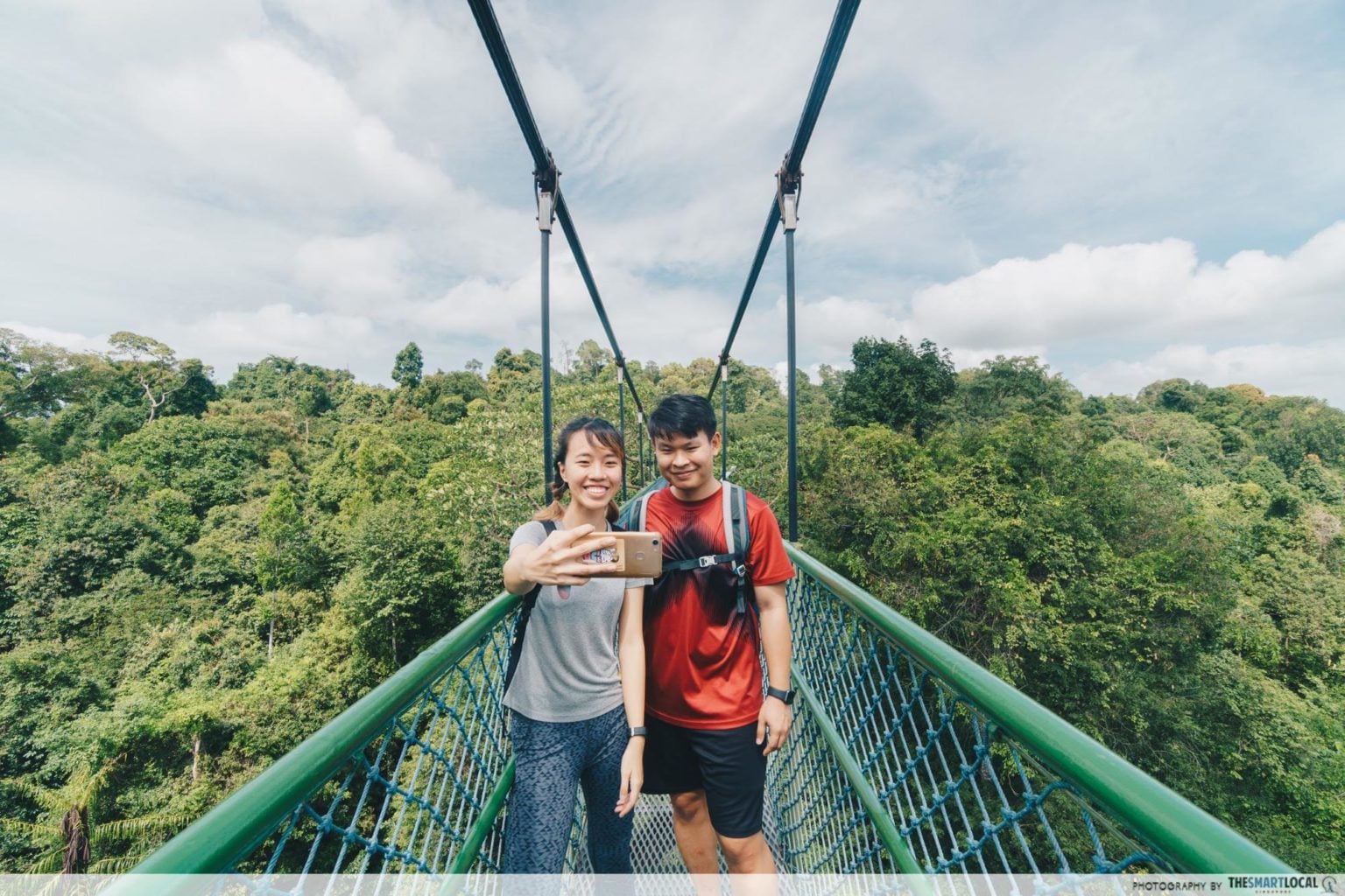11 Things To Do In MacRitchie Reservoir Hiking Guide With Treetop Walk, Kayaking & Bamboo Grove