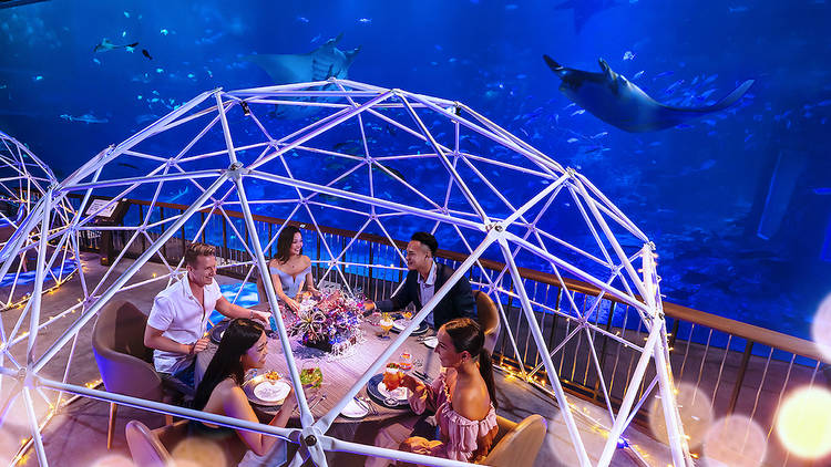 SEA Aquarium - bubble pod dining