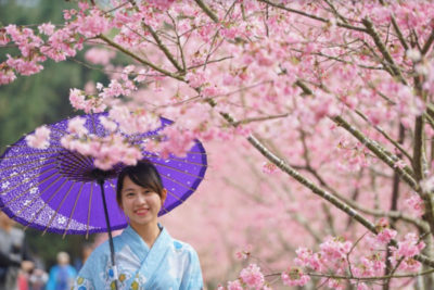 9 Romantic Sakura Spots In Taiwan To Bypass The Price Hikes For Tokyo ...