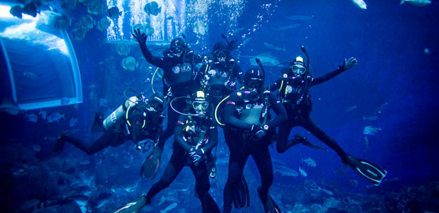 RWS open water diver's course