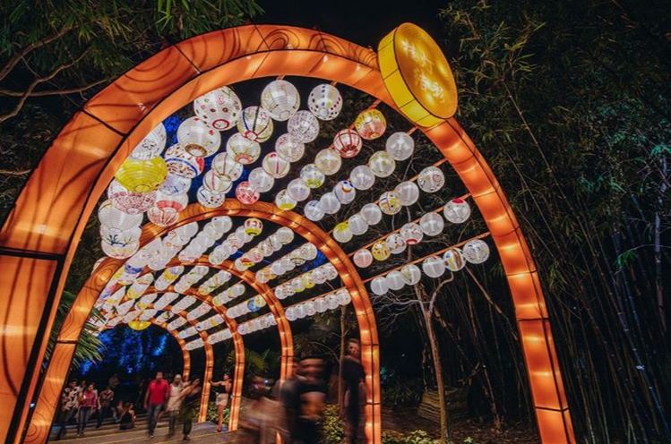 Mid-Autumn Festival light-up Gardens By the bay