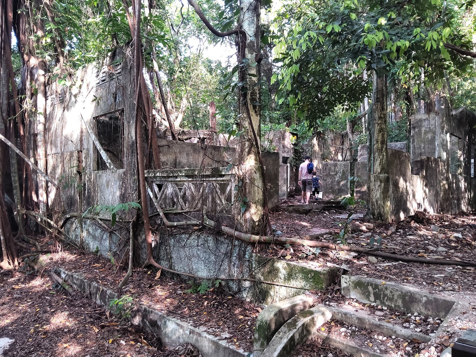 hainan village ruins, thomson nature park