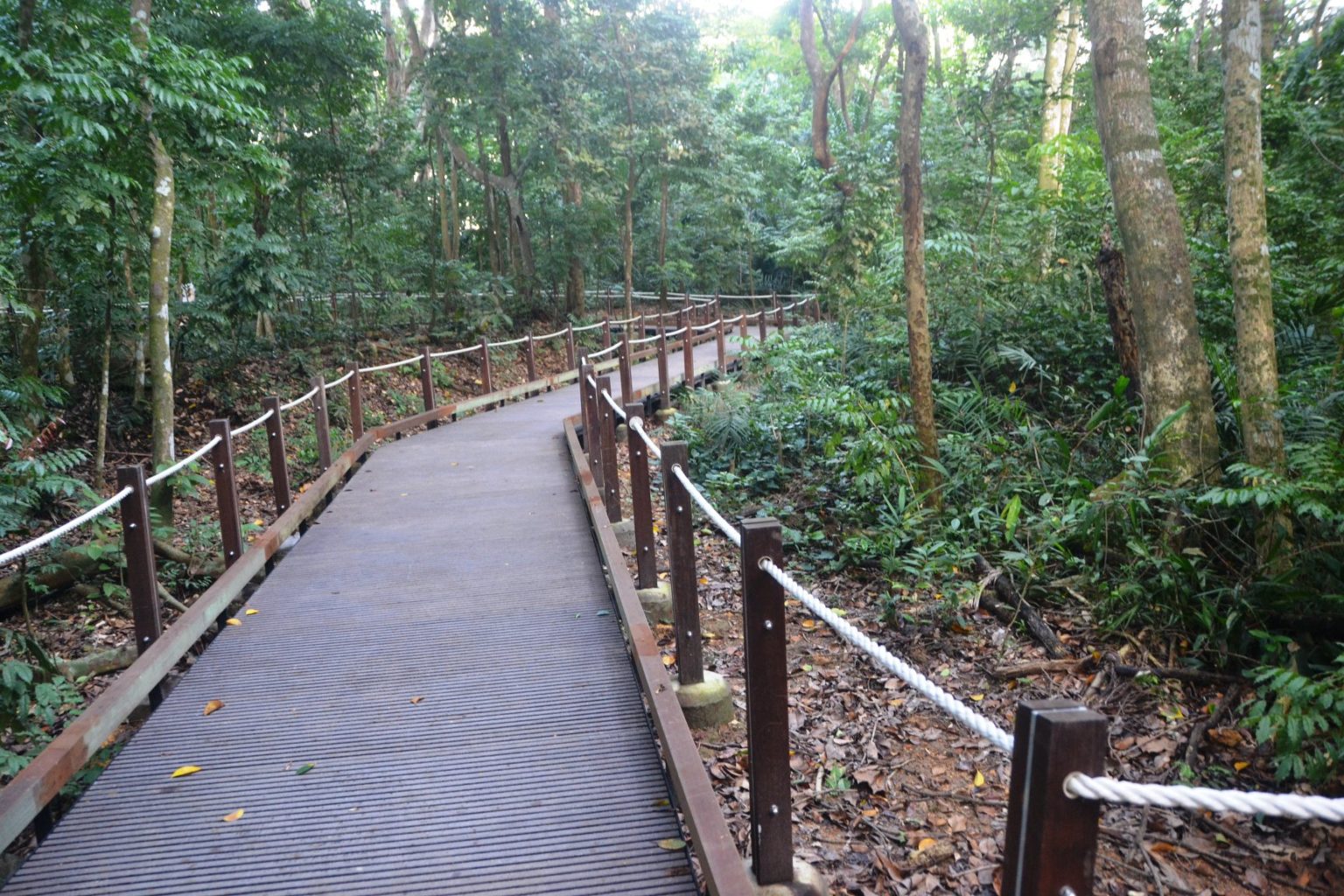 Thomson Nature Park: Kampong Ruins & Scenic Walking Trails Where You ...