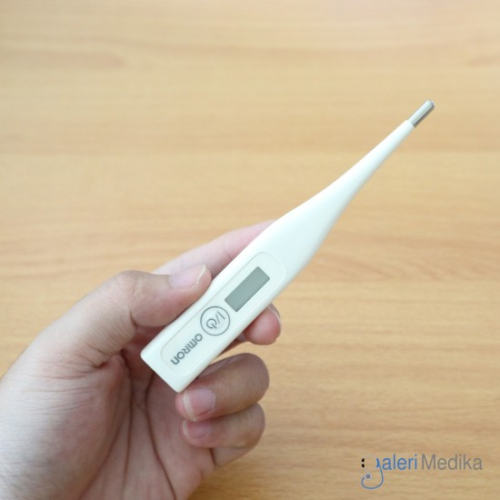 8 Best Thermometers In Singapore Including Infrared & Digital To Check