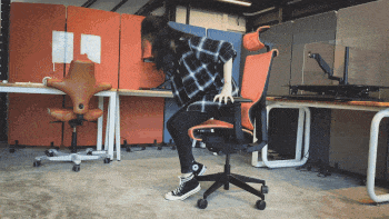 Ergotune ergonomic chair