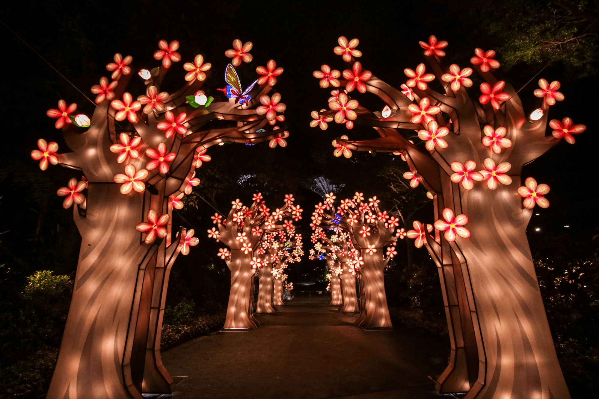 Mid-Autumn Festival - Gardens By The Bay