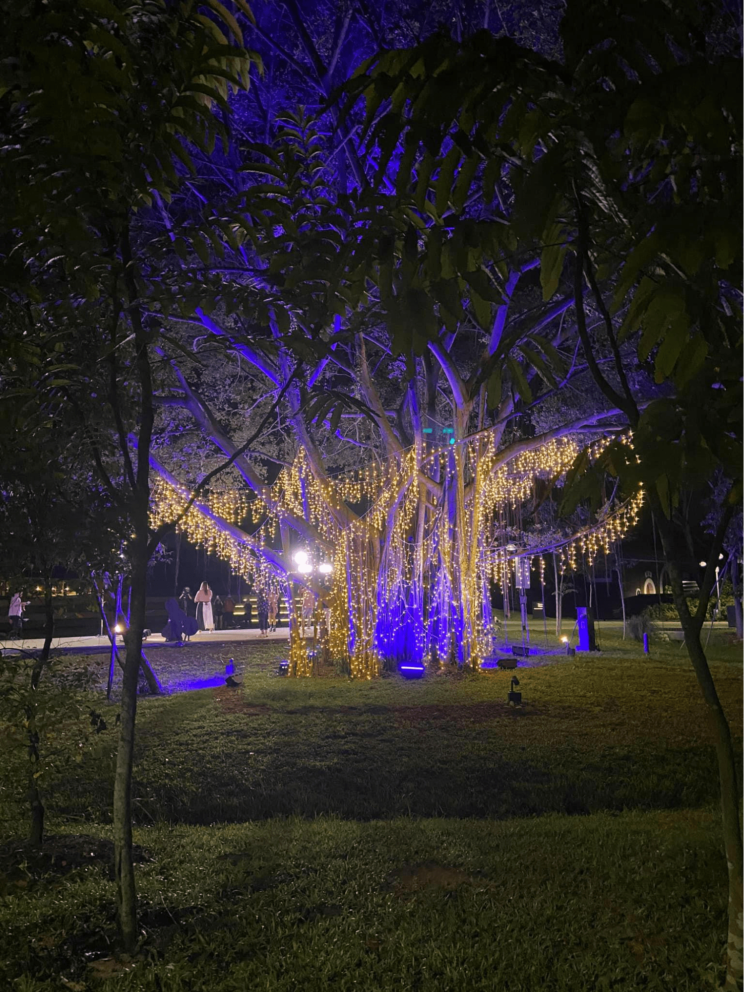 Mid-Autumn Festival - Jurong Lake Gardens