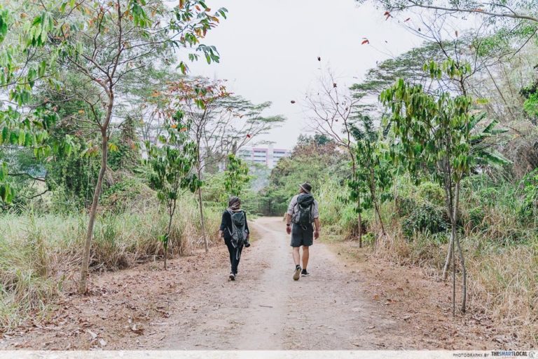 Tampines Eco Green: An Untouched Spot Of Nature