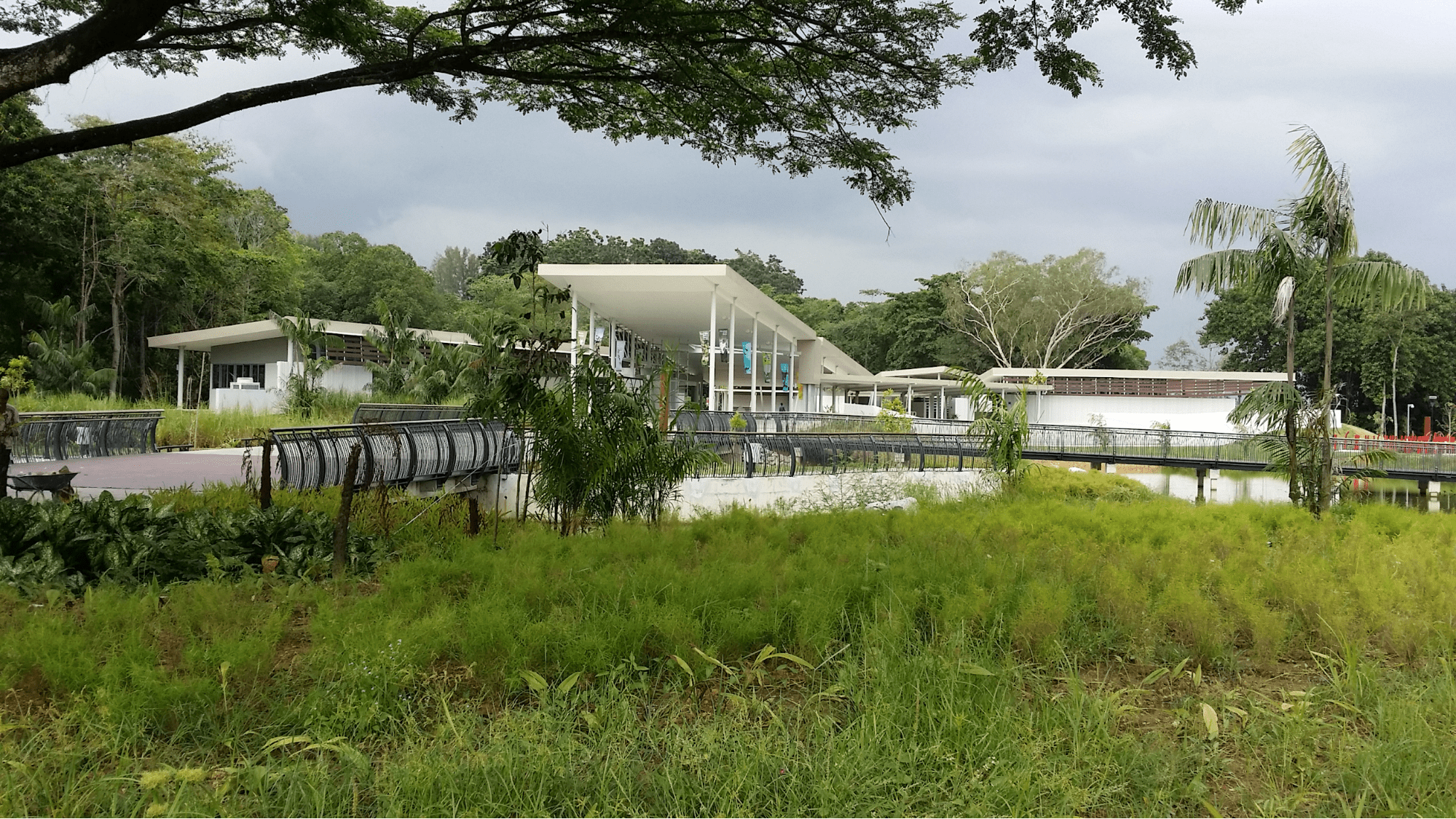 sungei buloh wetland reserve, countryside getaway in singapore