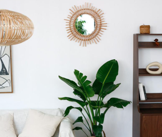 10 Aesthetic Wall Mirrors In Singapore From $12 That Are The Fairest Of ...