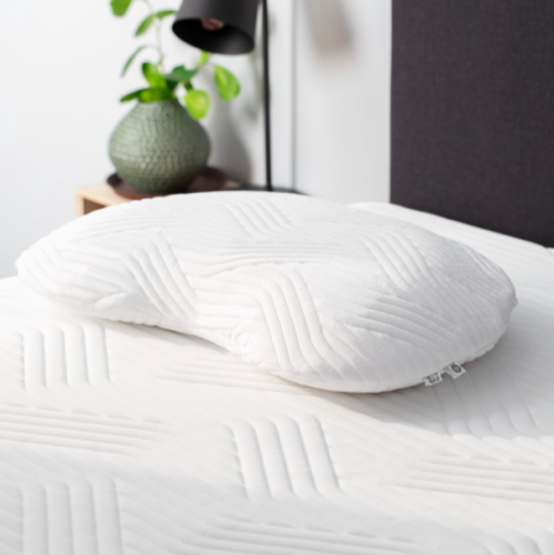 best-pillow-singapore-2-499x500.png