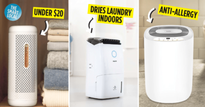 Best Dehumidifiers in Singapore Guide