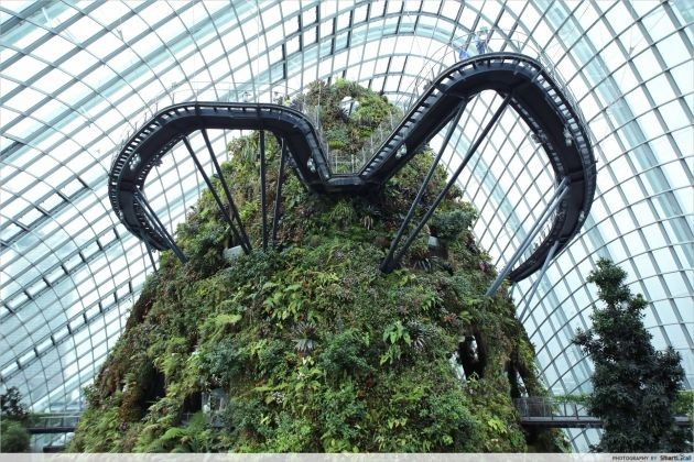 Cloud Forest, Gardens by the Bay