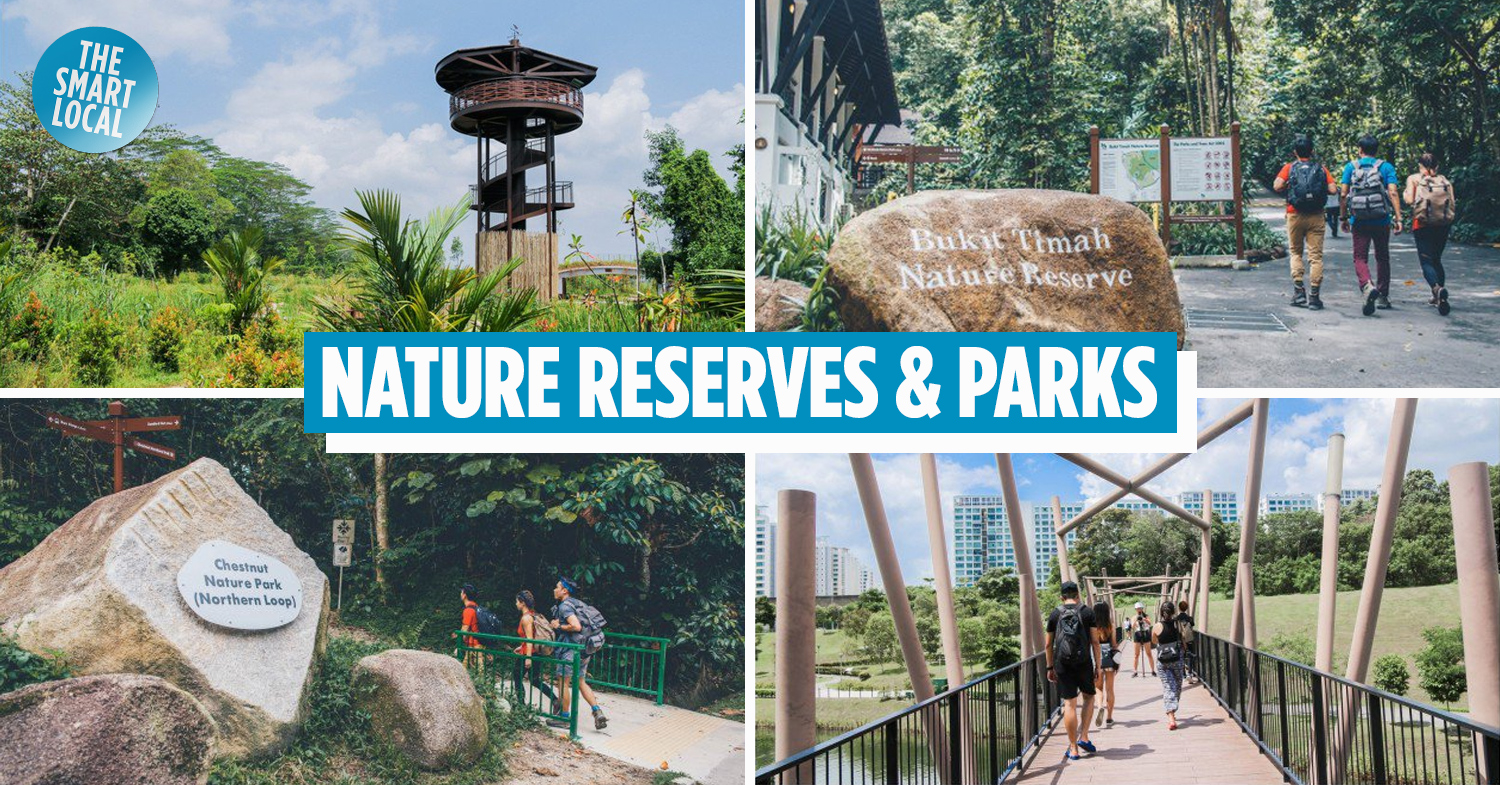 13 Nature Reserves & Parks In Singapore For Scenic Trails