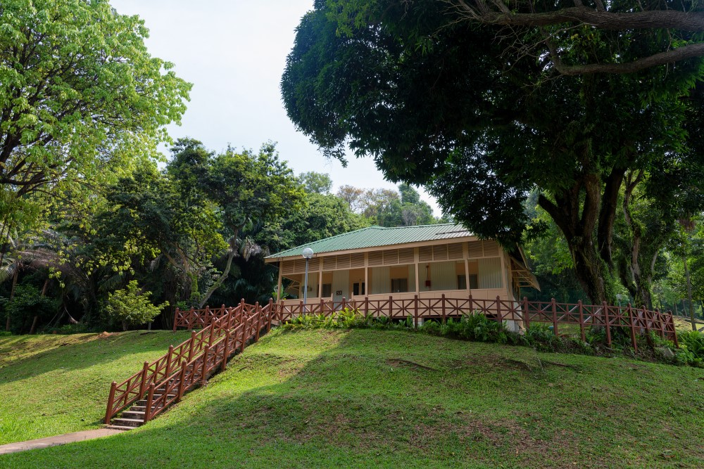 St John's and Lazarus Island Singapore’s Hidden Beach Getaway