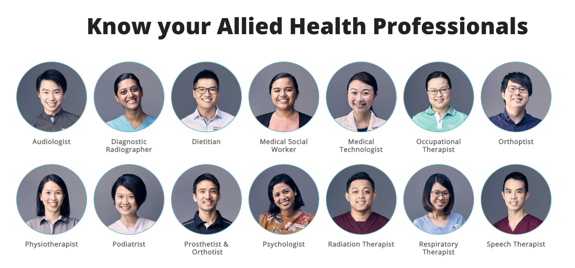 14 different vocations for allied health professionals (AHPs)