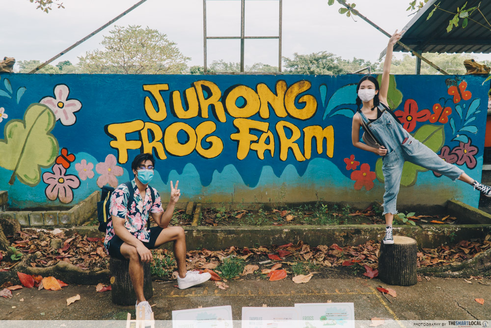 mural of jurong frog farm