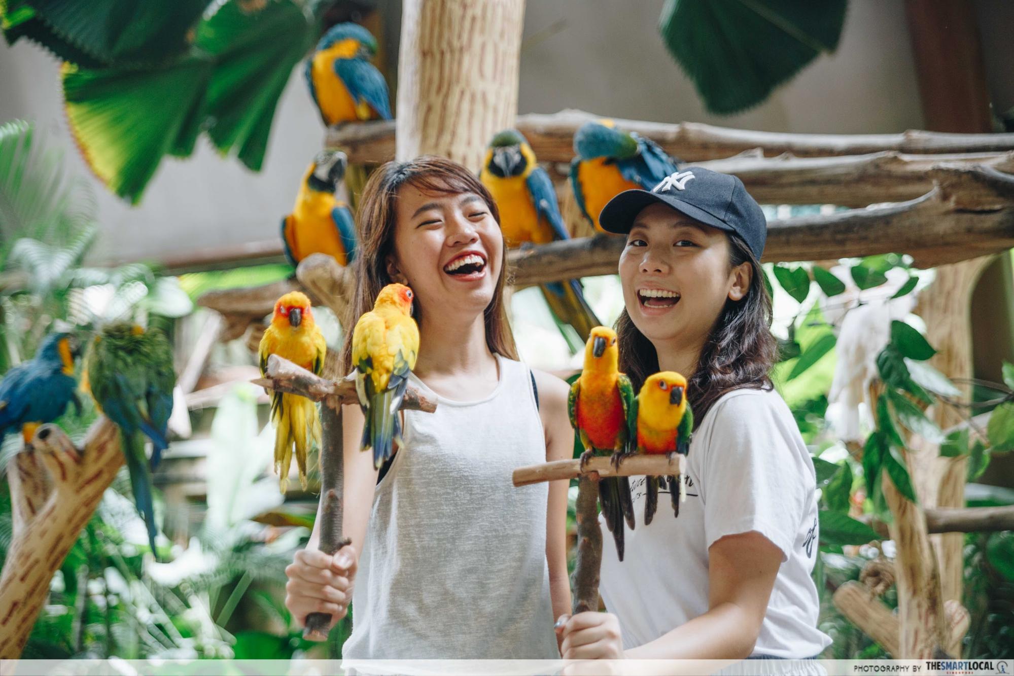 Jurong Bird Park: Asia’s Largest Bird Park With Immersive Walk-in ...