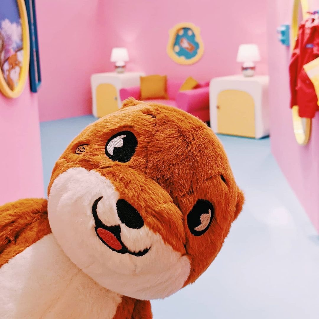 Find the otter plushie