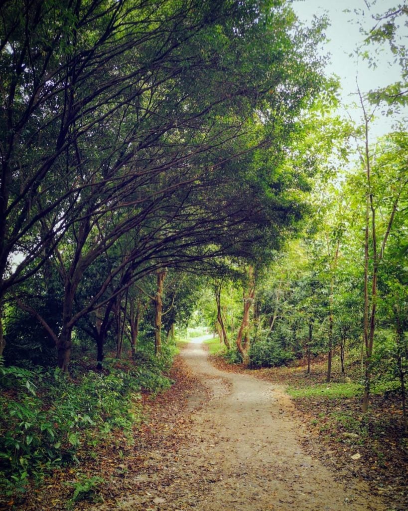 Guide To Dairy Farm Nature Park - Nature Trails & Sightseeing