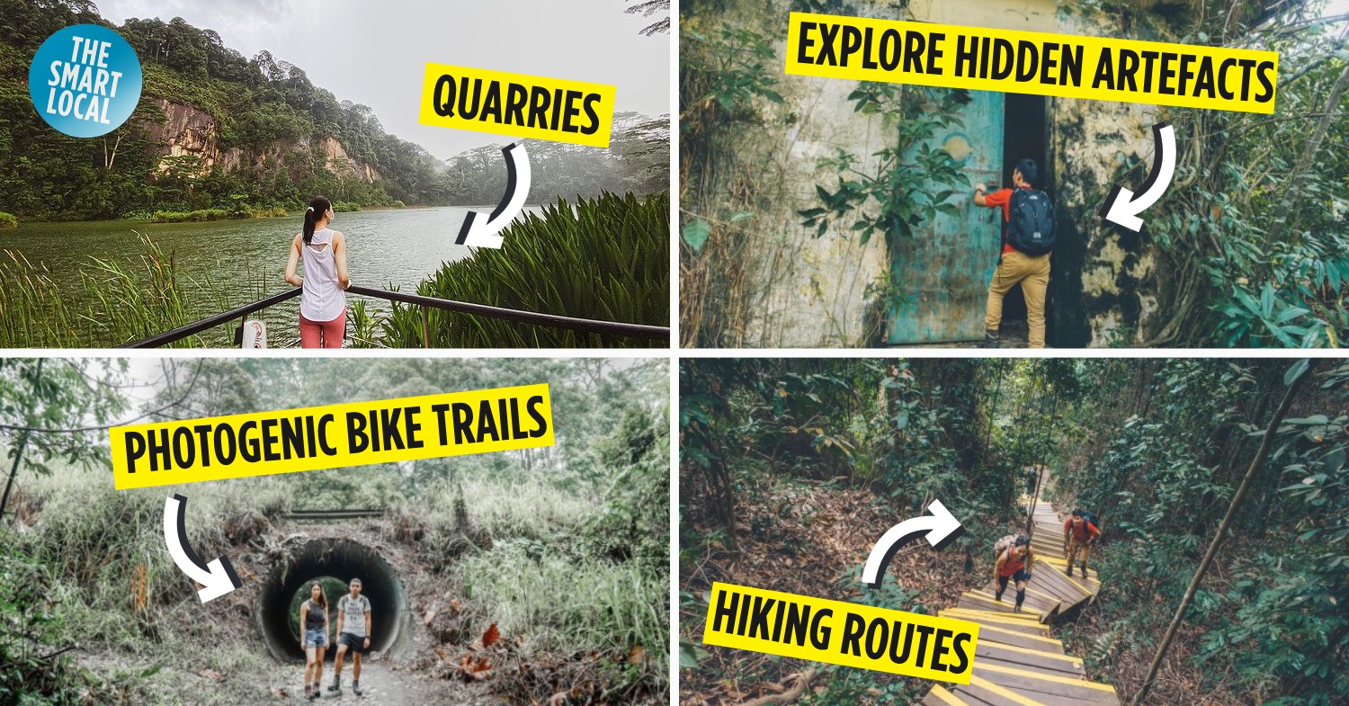 Dairy Farm Nature Park - What To Do Like Nature Trails & Sightseeing