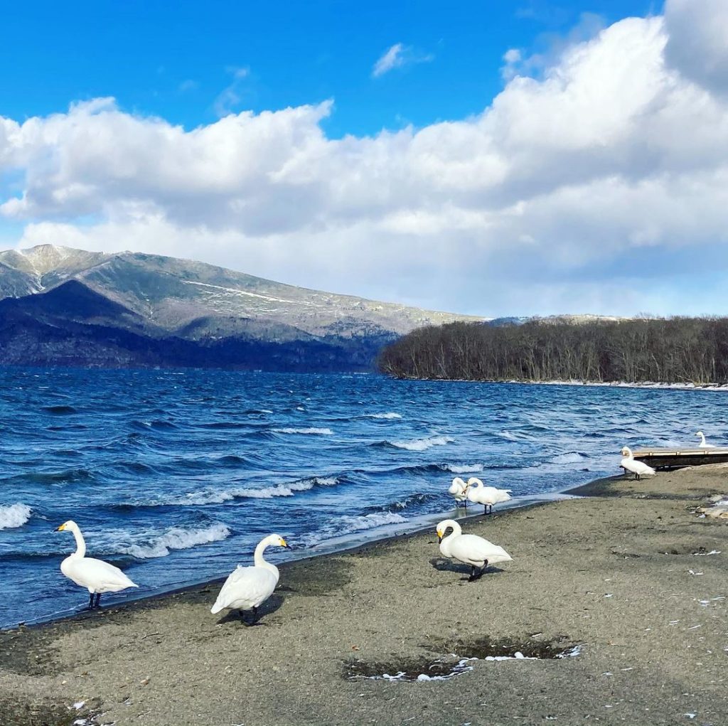 8 Hokkaido Nature Sights In Hokkaido For Outdoorsy Folk To Go All Out