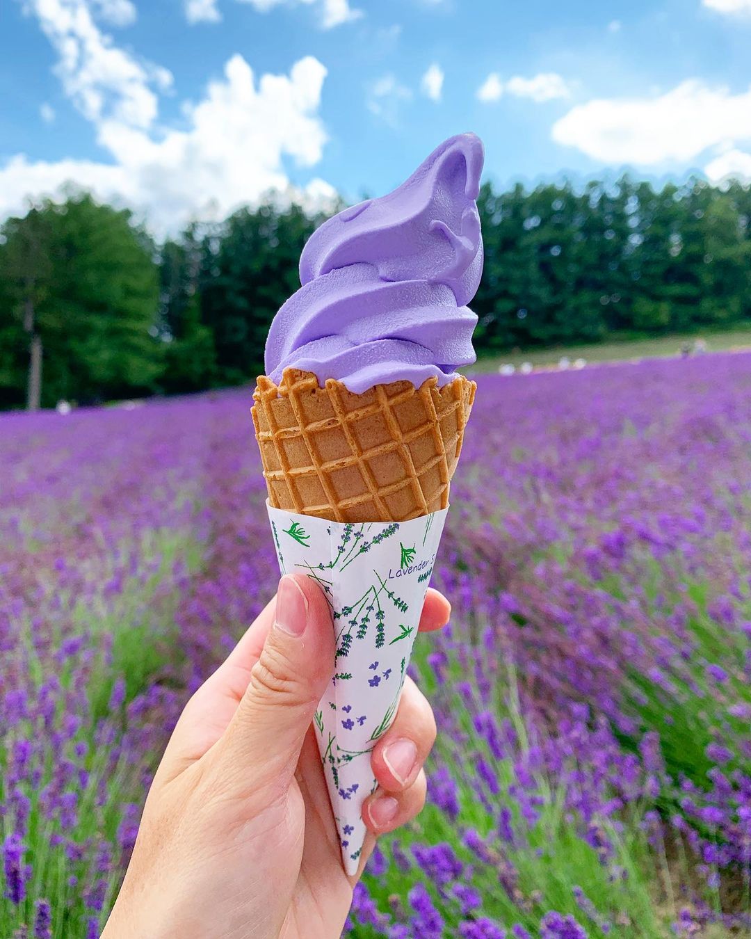 soft-serve lavender ice cream at tomita farm