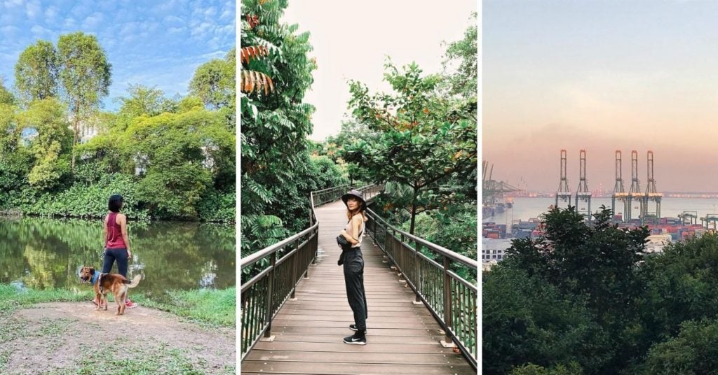 13 Most Scenic Bus Routes In Singapore For A Relaxing Ride