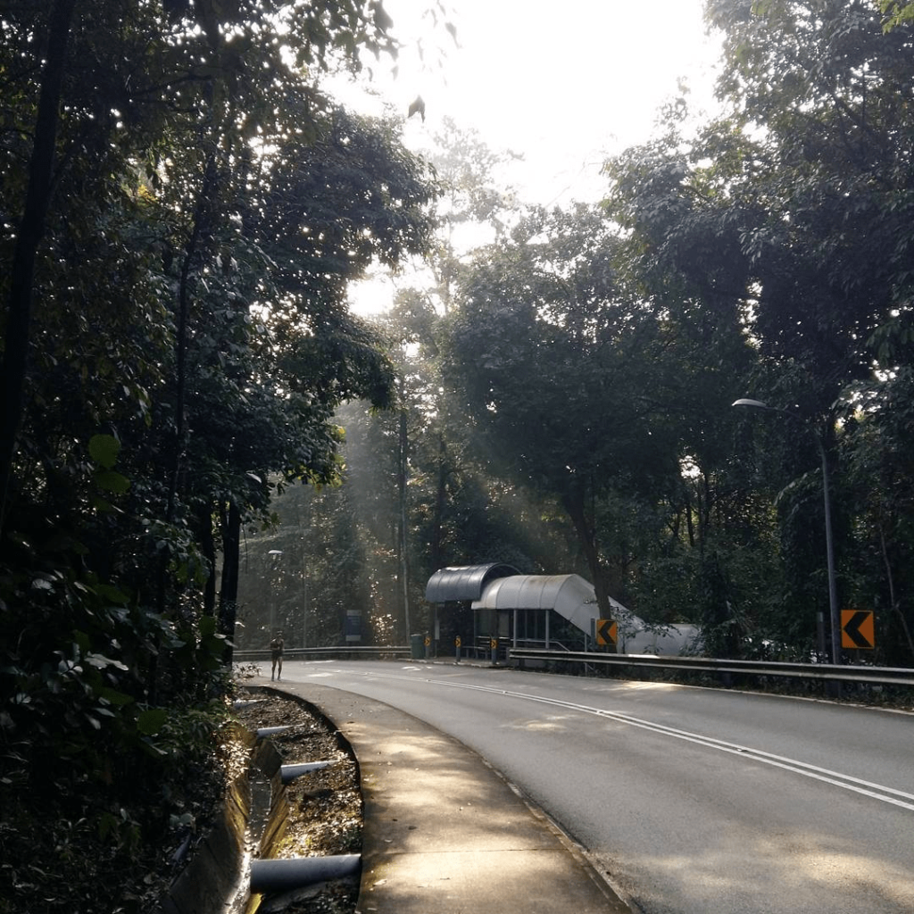 13 Most Scenic Bus Routes In Singapore For A Relaxing Ride