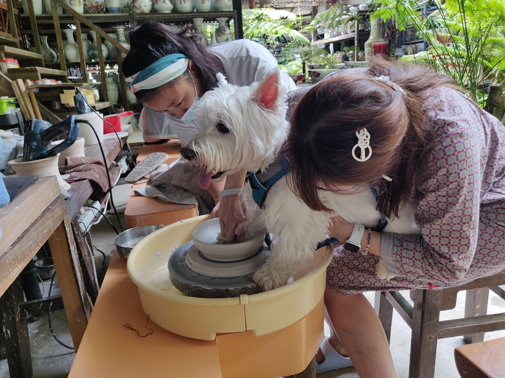 Thow Kwang Pottery Jungle - Singapore's Last Dragon Kiln (3)