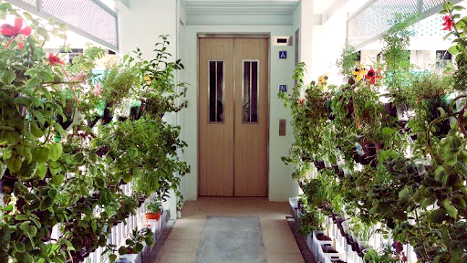 HDB corridor transformations Singapore - vertical garden
