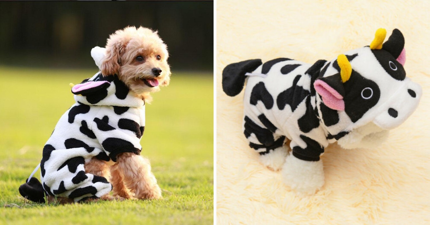 cow costume for dogs