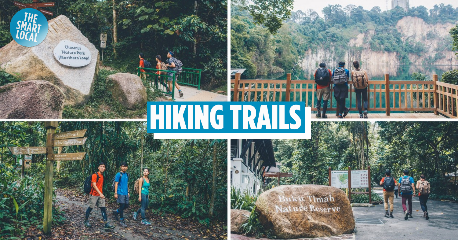 Hiking Around Bukit Timah Nature Reserve