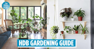 HDB Gardening Guide