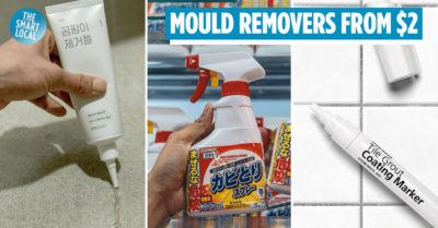 Mould Removers in Singapore