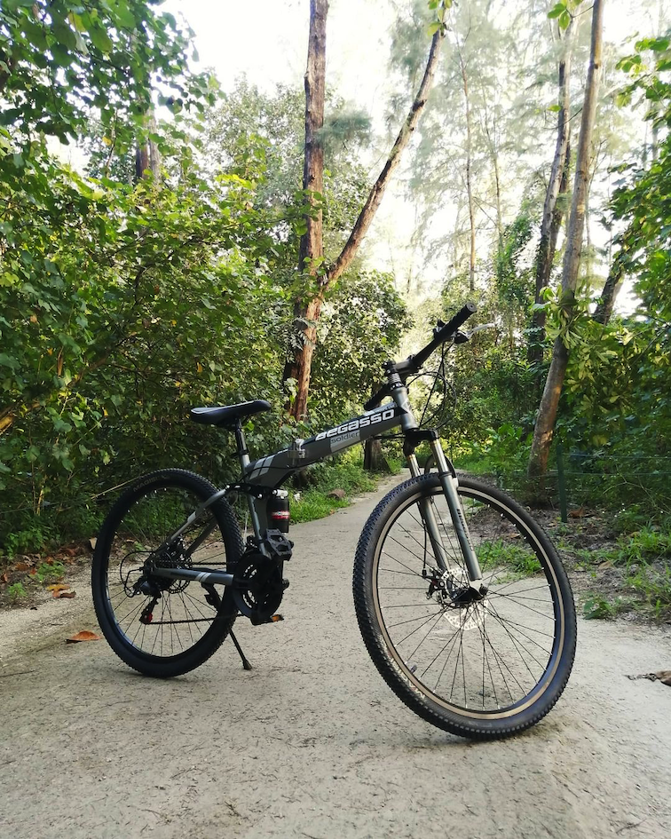 begasso full-sized mountain bike - best foldable bicycles in singapore