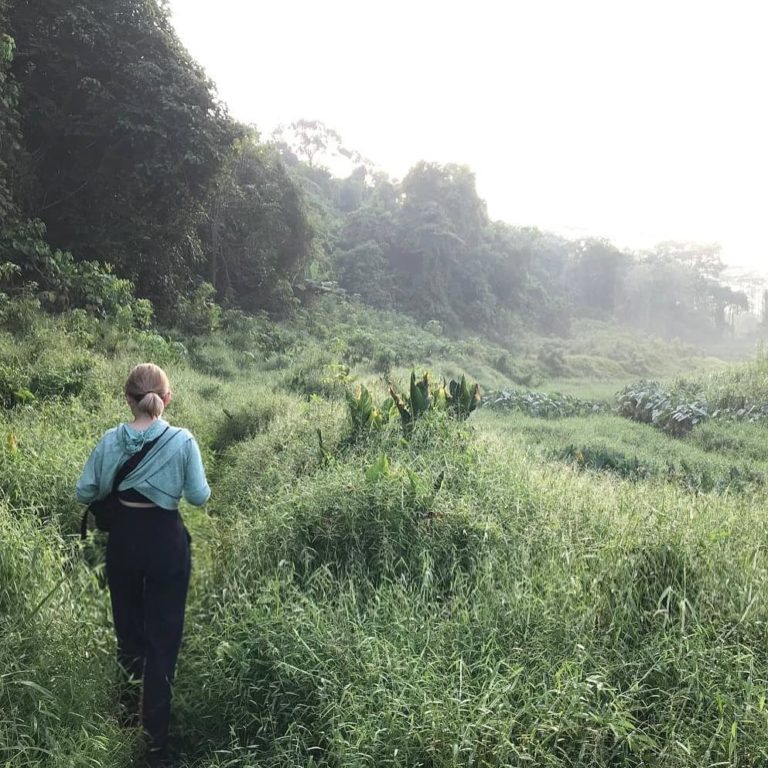 Green Corridor: Walking Trail That Links Clementi Forest ...