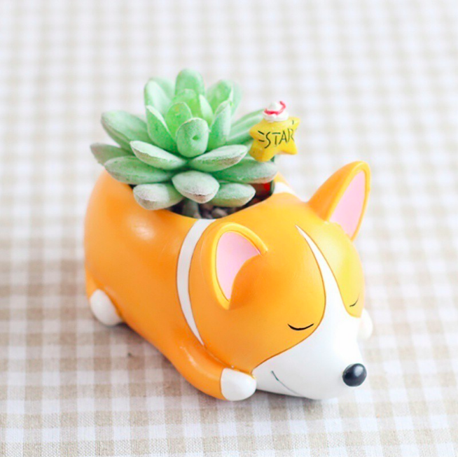 Corgi-themed home decor items - mini flower pot