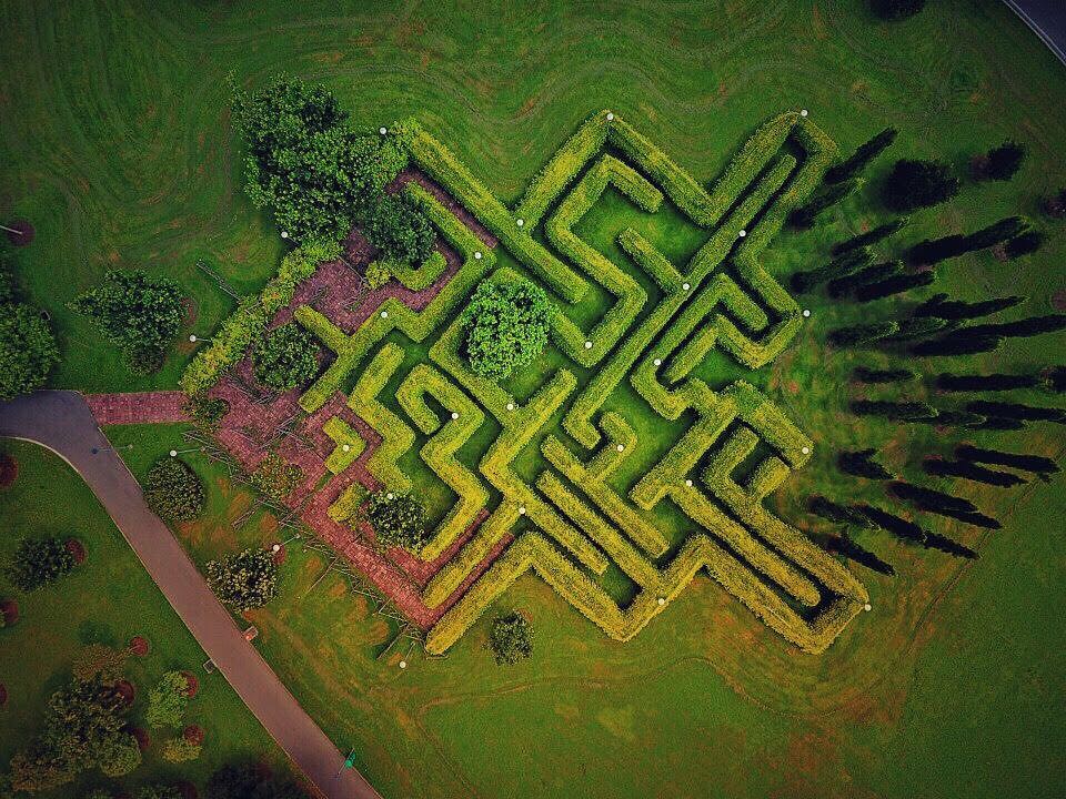  Maze Garden