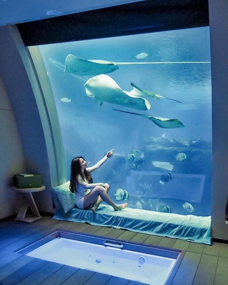 7 Surreal Underwater Hotels Near Singapore For Under-The-Sea Vacation