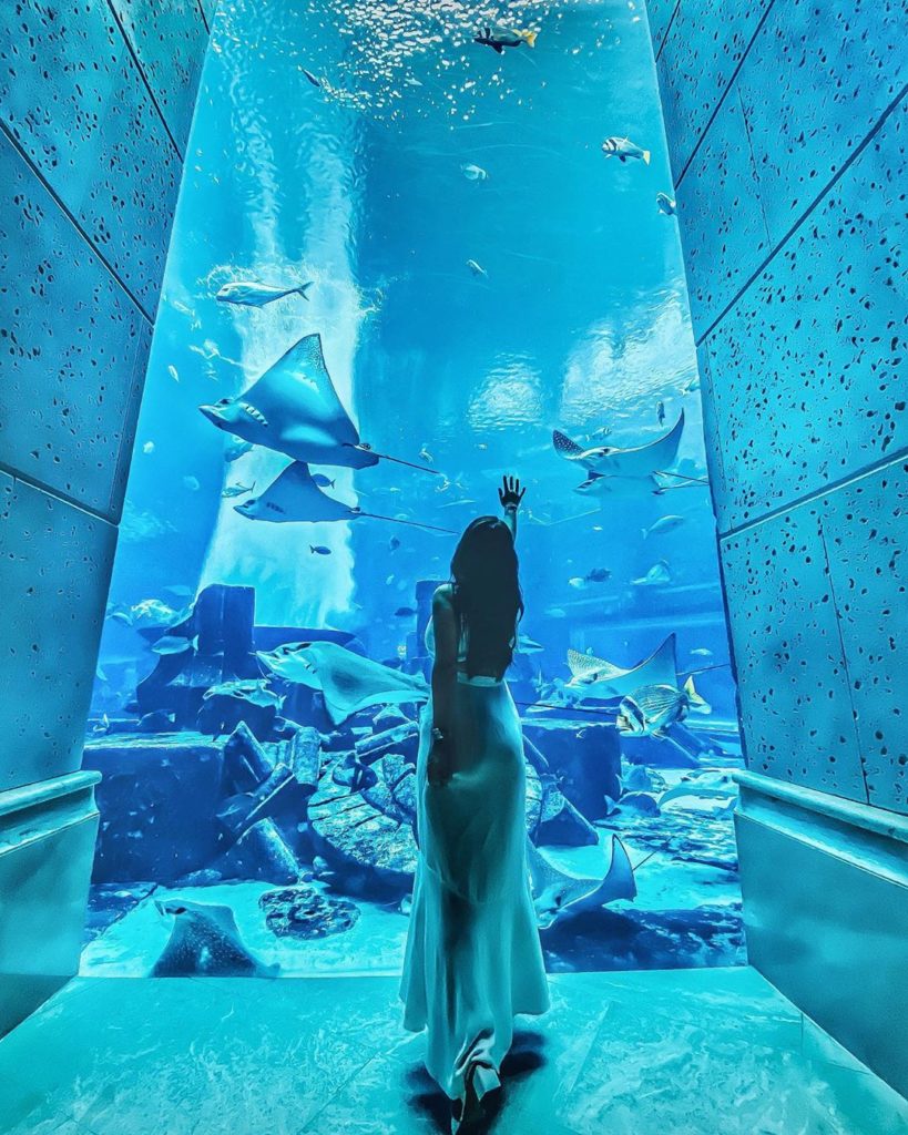 7 Surreal Underwater Hotels Near Singapore For UnderTheSea Vacation