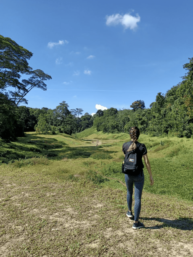 Green Corridor: Walking Trail That Links Clementi Forest ...