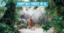 Singapore Botanic Gardens’ New Glasshouse Attraction Has A Cold Ethereal Forest & “Secret Ravine”