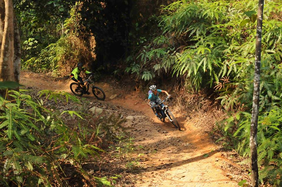 cycling routes singapore - chestnut nature park