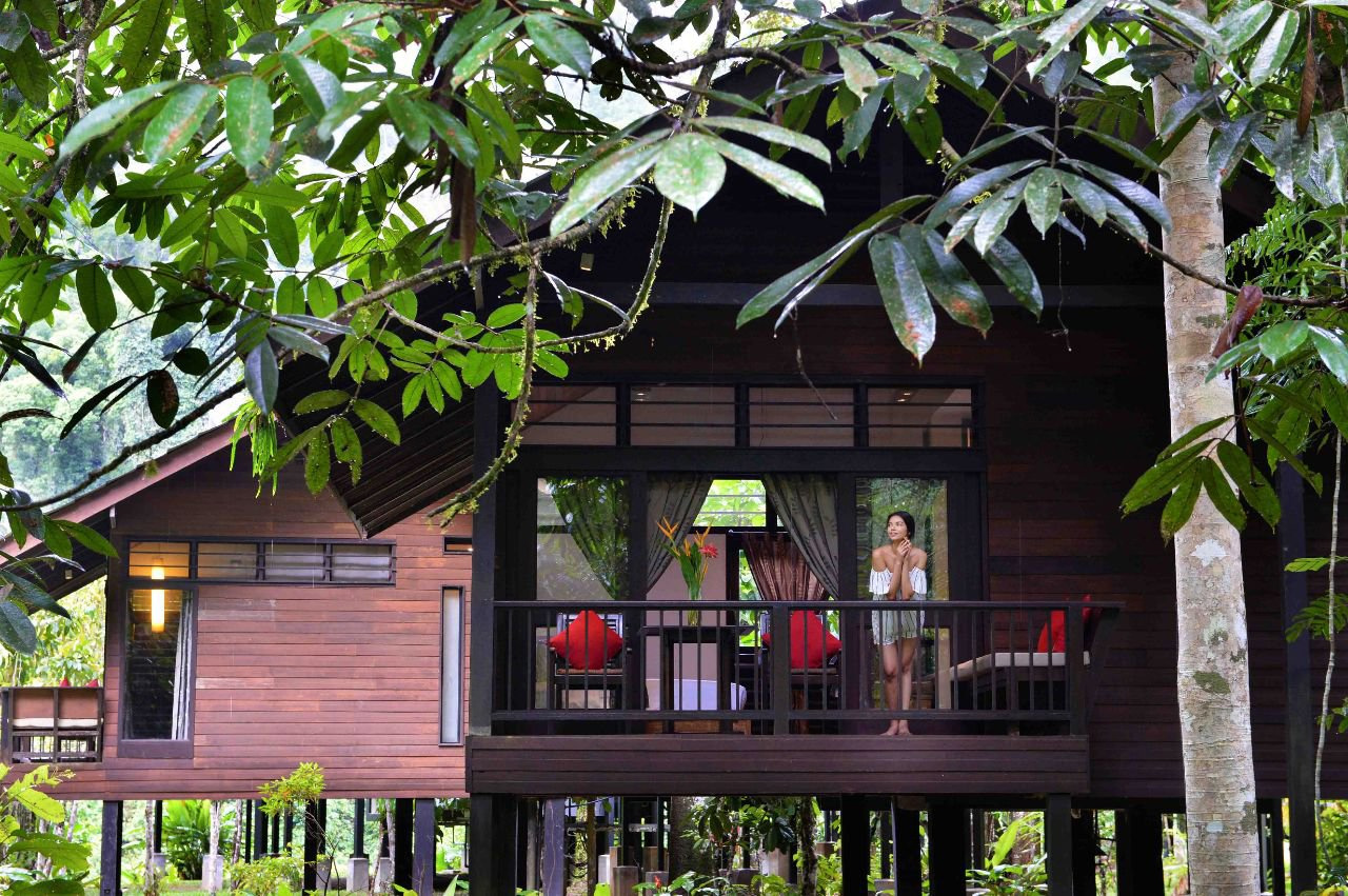 borneo rainforest lodge sabah hotels and resorts
