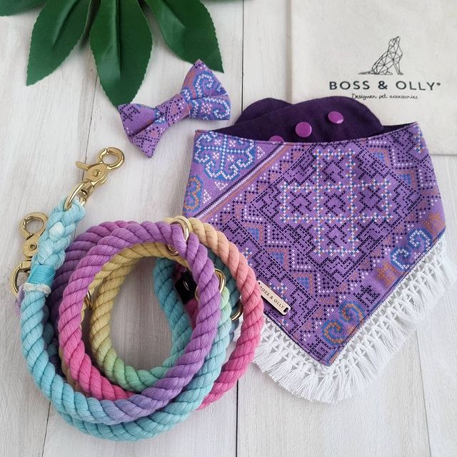 Boss and Olly rainbow leash, bow and bandana